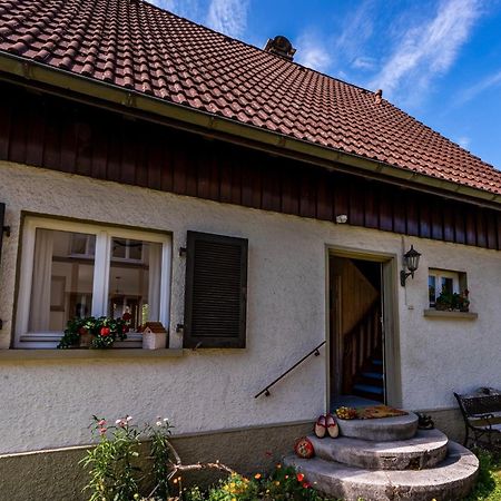 Gartenferienhaus "Annaluise" Шенау-ім-Шварцвальд Екстер'єр фото
