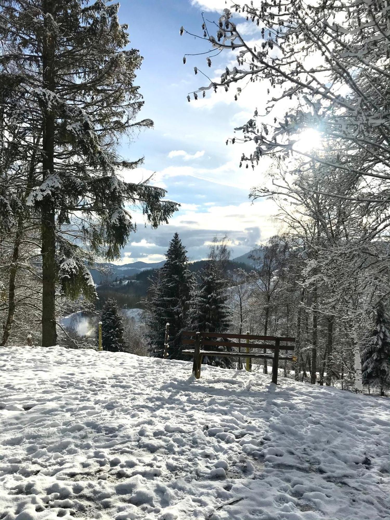 Gartenferienhaus "Annaluise" Шенау-ім-Шварцвальд Екстер'єр фото
