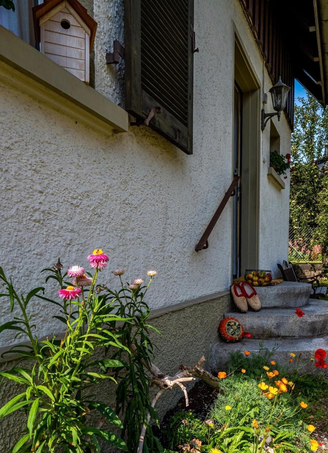 Gartenferienhaus "Annaluise" Шенау-ім-Шварцвальд Екстер'єр фото